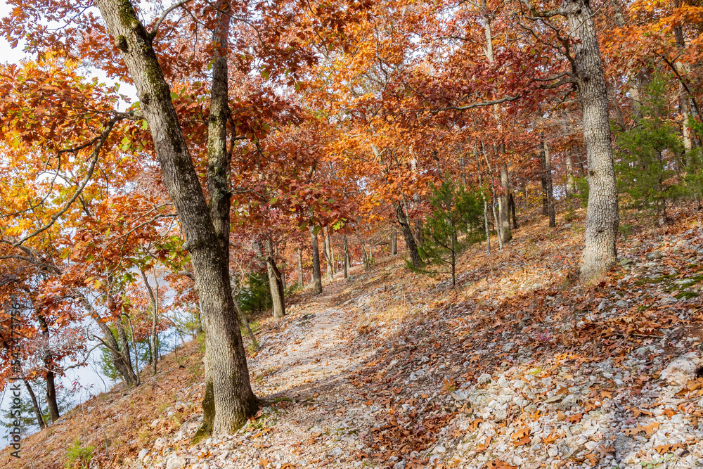 Overcast view of the fall color of a hiking trail in Lake of the Ozarks state Park