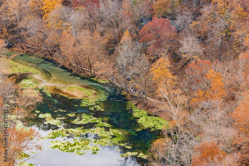 High angle view of the fall color over Ha Ha Tonka State Park