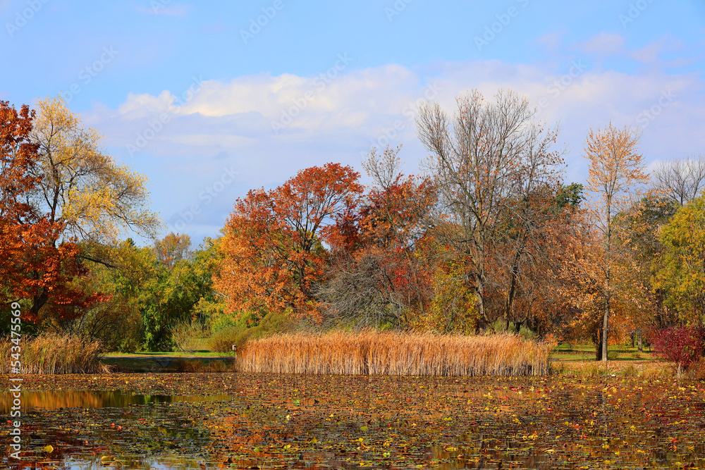 Obraz premium North america fall landscape Montreal Quebec province Canada