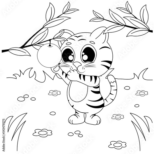 Vector coloring pages with cute tiger cub at the junglereaching for an orange. Cartoon contour illustration isolated on white background
