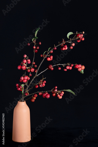 Branches of ornamental apple interra cota vase photo