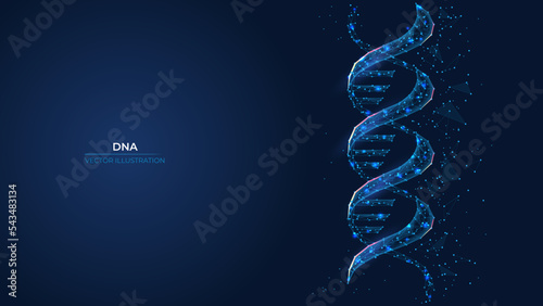 Futuristic abstract DNA symbol. Wireframe concept of innovative science, genetic engineering. Low poly geometric 3d wallpaper background vector illustration.
