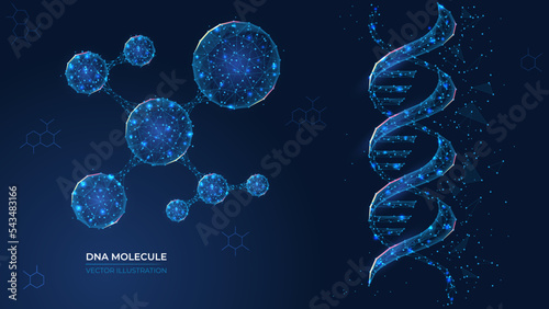 Futuristic abstract DNA molecule symbol. Wireframe concept of innovative science, genetic engineering. Low poly geometric 3d wallpaper background vector illustration.
