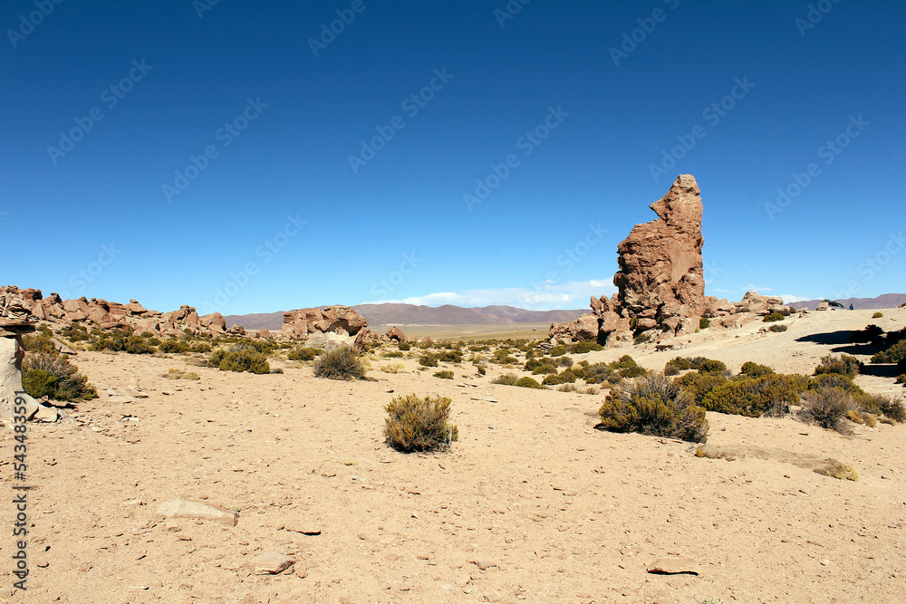 Arid desert landscape at Valle de las Rocas, Bolivia, South America.