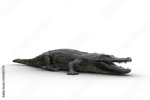 3D illustration of an Alligator standing on land with jaws open isolated on white. photo