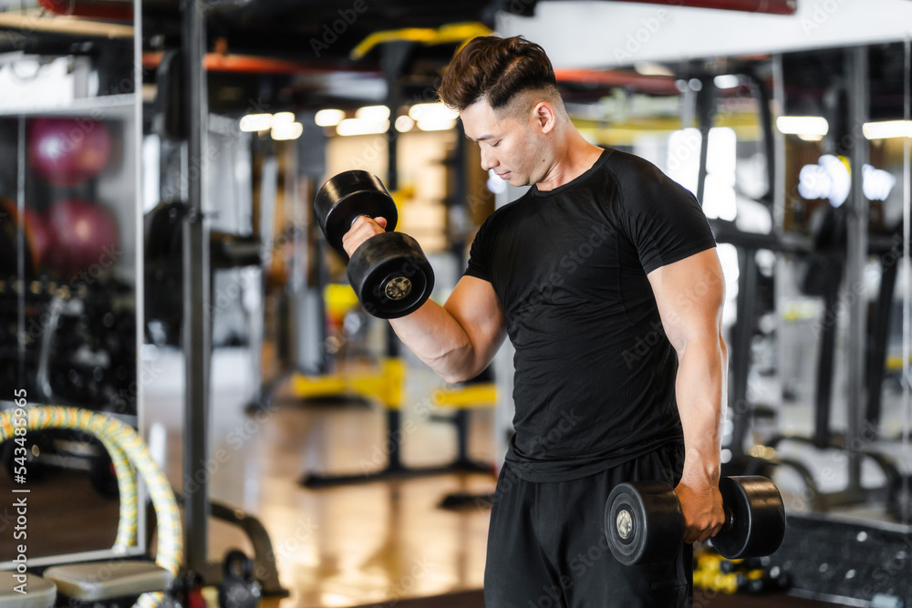 man working out at the gym man working out at the gym