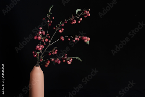 Branches of ornamental apple interra cota vase photo