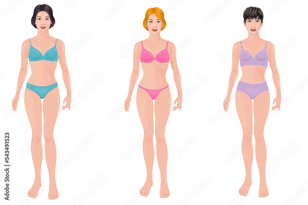 set Female full body underwear illustration front plunge set Female full body underwear illustration front plunge