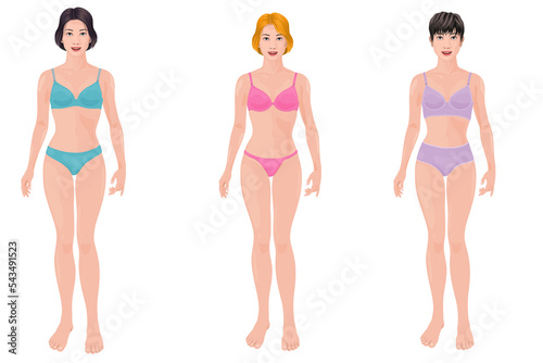 set Female full body underwear illustration front plunge