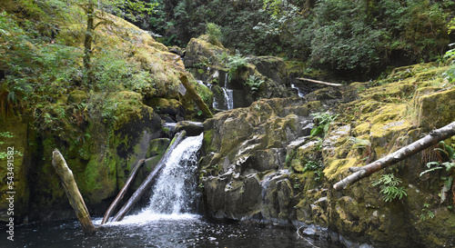 Sweet Creek Falls Waterfall along Hiking Trail Complex near Mapleton Oregon. America. photo