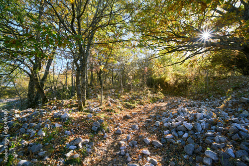 "Val di Rose" walking path in the fall, Abruzzo, Lazio e Molise national park, Italy