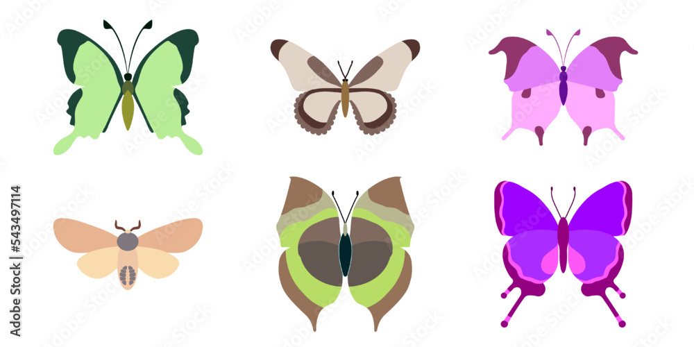 Set, collection of butterflies on a white background. Isolated cartoon icon set, decorative insect. Set, collection of butterflies on a white background. Isolated cartoon icon set, decorative insect.