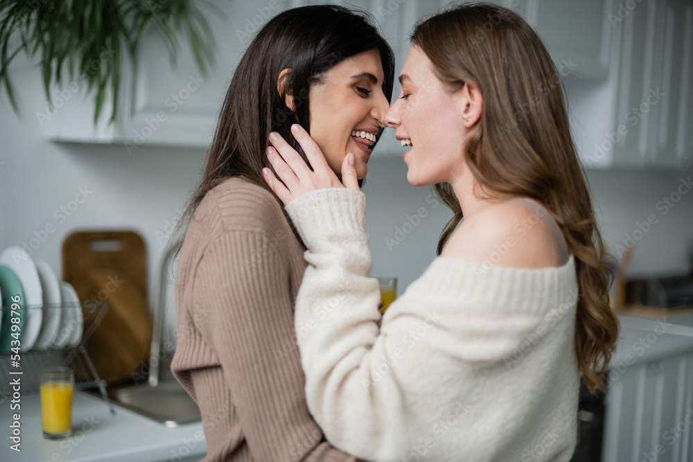 Side view of cheerful lesbian couple hugging in kitchen Side view of cheerful lesbian couple hugging in kitchen