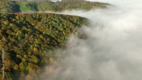 Autumn forest seen from above. Morning forest covered in mist landscape 