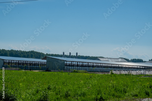 Construction of greenhouses for early cultivation of crops. Farm at the beginning of the season. Cultivation of agricultural products. Summer. Day.