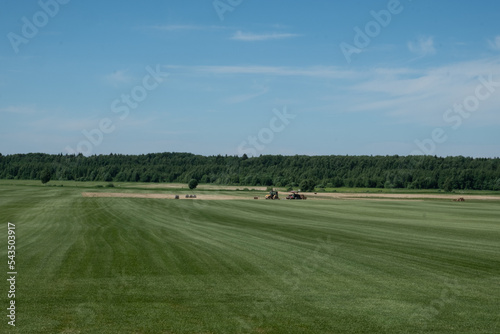 Fields sown with crops. Farming at the beginning of the season. Cultivation of agricultural products. Summer. Day.