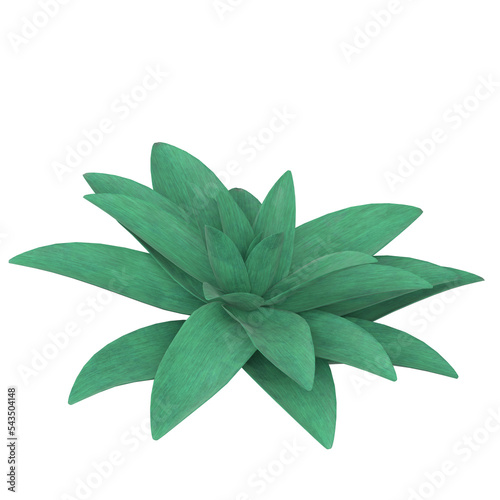 3d rendering illustration of a stylized succulent plant