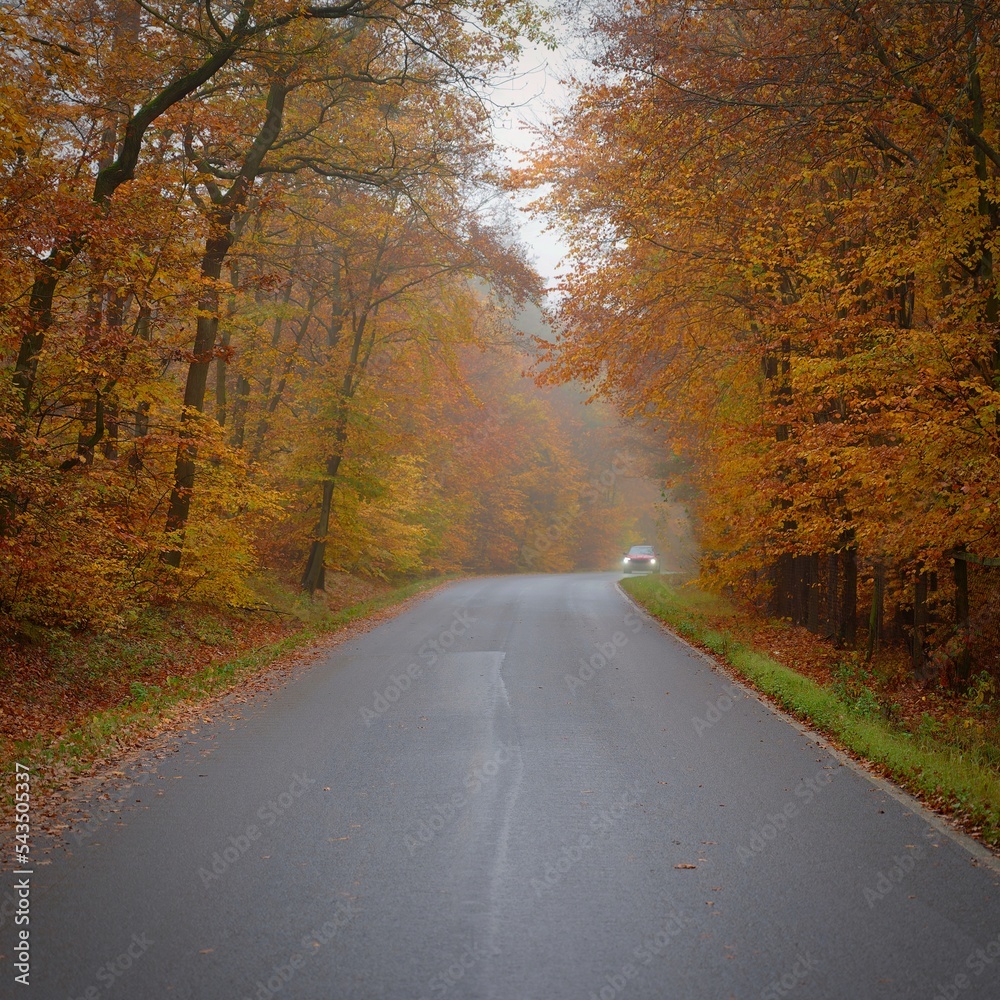 Road in autumn. Foggy and dangerous car driving in the winter season. Bad weather with rain and traffic on the road. Concept for traffic and road safety.