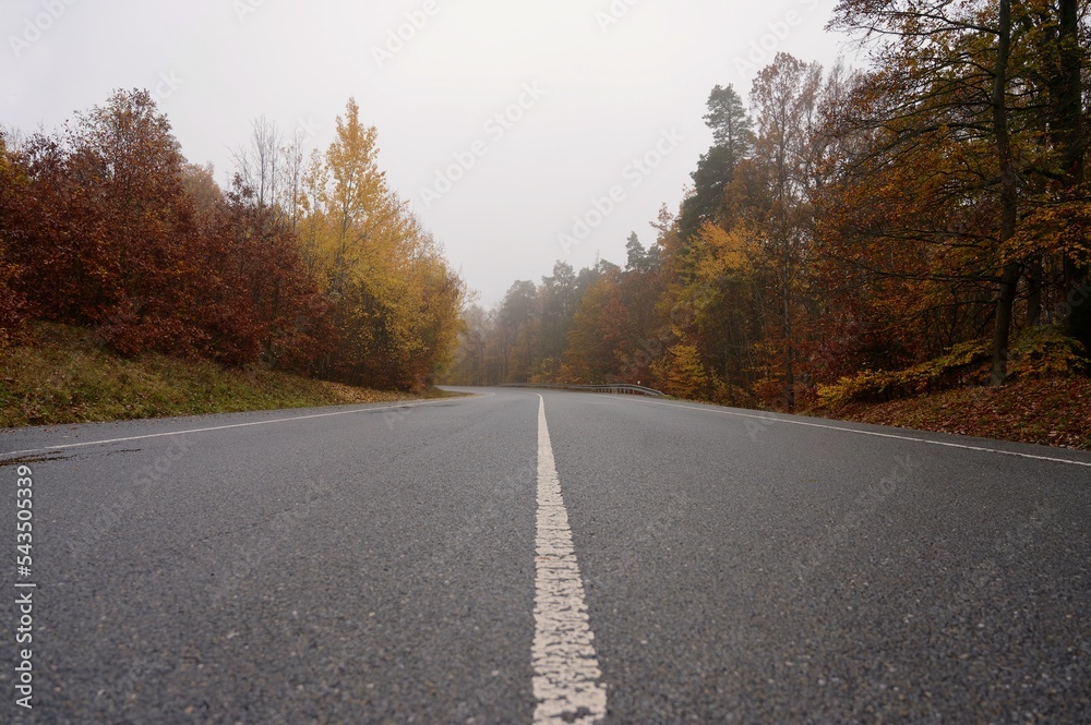 Road in autumn. Foggy and dangerous car driving in the winter season. Bad weather with rain and traffic on the road. Concept for traffic and road safety.