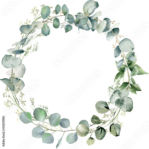 Eucalyptus leaves wreath. Watercolor illustration isolated on transparent background. Greenery floral frame for wedding invitation, greeting cards, save the date. Hand drawn green herbs photo