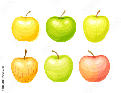 Whole Ripe Apple Fruit as Organic Garden Crop Vector Set