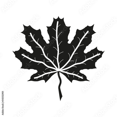 Autumn leaf. Stylized illustration of a plant. 