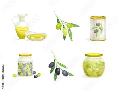 Olives Cultivar in Can and Jar with Small Black and Green Fruit Branch and Oil in Jug Vector Set