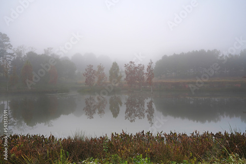 Fall foliage on a foggy pond in the park at the NC Museum of Art in Raleigh