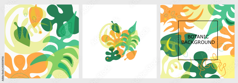 Composition with hand drawn plant elements, botanical background. With abstract shapes in modern style. 