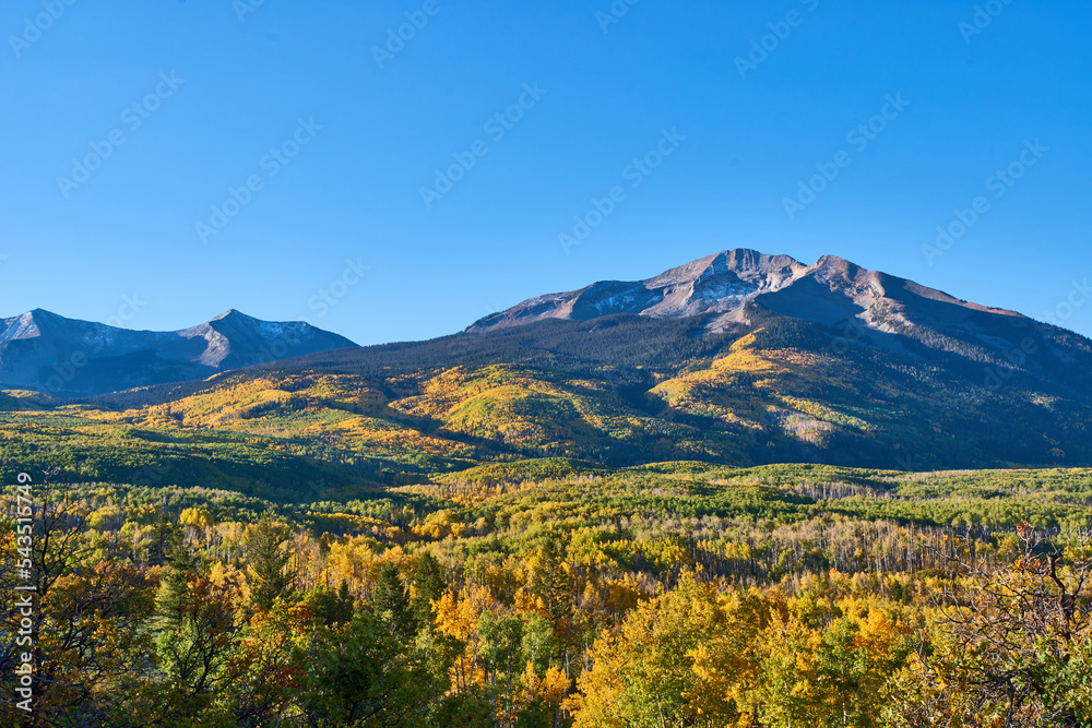 autumn in the Colorado rocky mountains on Kebler pass near Crested Butte, Colorado
