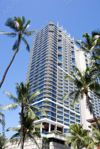 Honolulu Downtown Residential Skyscraper With Palms © Ramunas