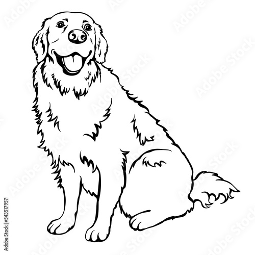 Labrador Retriever. Silhouette. Line art. Template. Close-up. Clip art. Hand Painting. Ink. Black and white. Vector cut