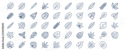 
Collection of icons related to Leaf, including icons like Alder, Arugula, Aspen, Ash, Banana and more. vector illustrations, Pixel Perfect set