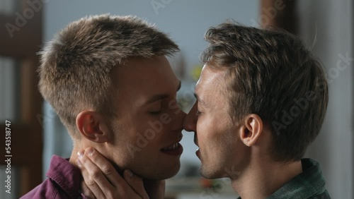 Close up of homosexual male couple passionate kissing. LGBT relationship concept. High quality 4K footage