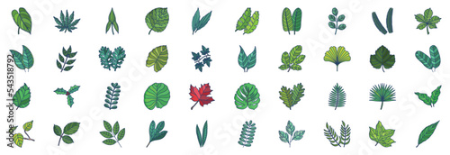 
Collection of icons related to Leaves, including icons like Anthurium, Aralia, Aspidistra, Chestnut, Citrus and more. vector illustrations, Pixel Perfect set photo