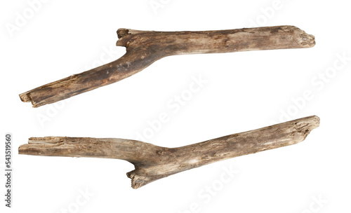 Macro dry branches isolated on transparent background, (high resolution)