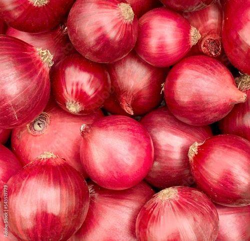 background of red onion close-up.
