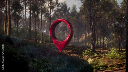 A red geotag in a beautiful forest at night. High quality 3d render