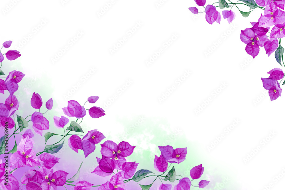 Two corner frame of exotic purple bougainvillea flowers with multicolor gradient fog, isolated on white background. Hand drawn watercolor. Copy space.