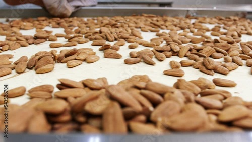 Almonds on a conveyor belt in an industrial food processing facility. Slow motion footage photo