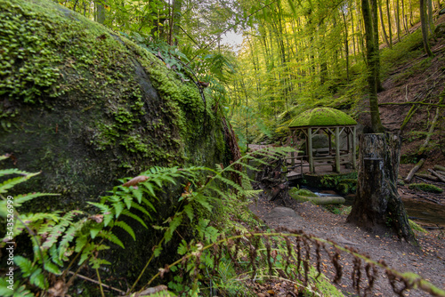 Haus mit Moos in der Karlstalschlucht im Pfälzer Wald photo