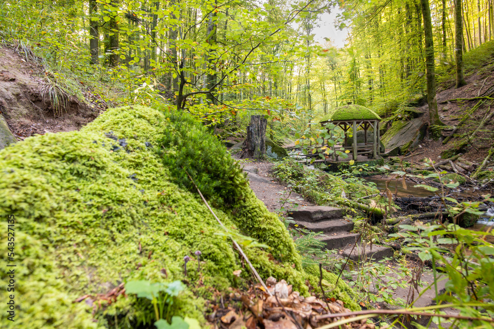 Fototapeta premium Haus mit Moos in der Karlstalschlucht im Pfälzer Wald