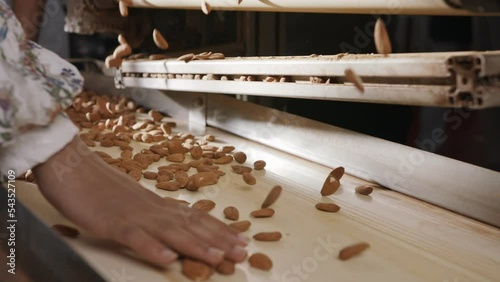 Almonds on a conveyor belt in an industrial food processing facility. Slow motion footage photo