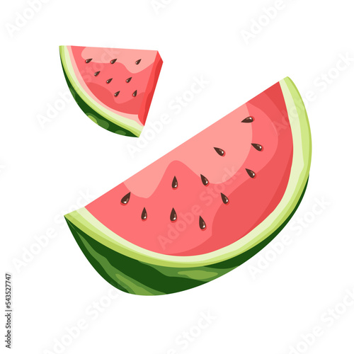 watermelon slices vector summer tropic