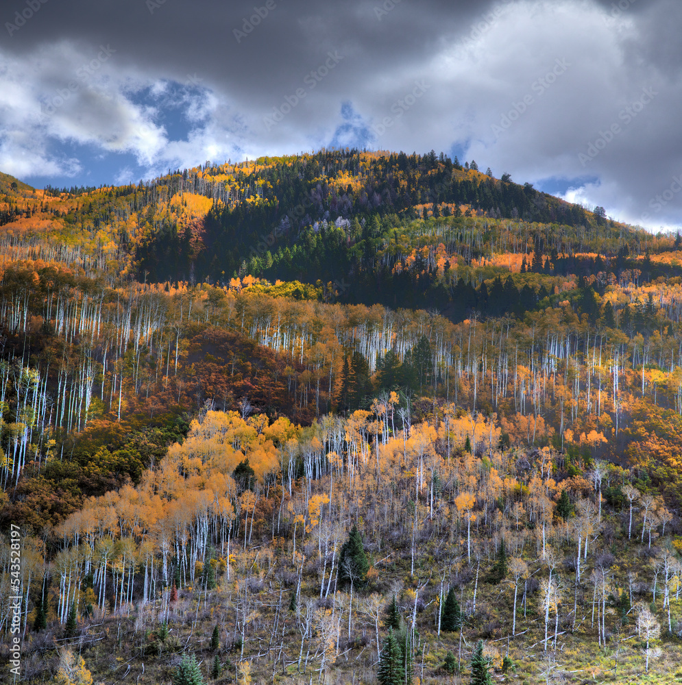 Colorado McClure Pass Stock Photo Adobe Stock