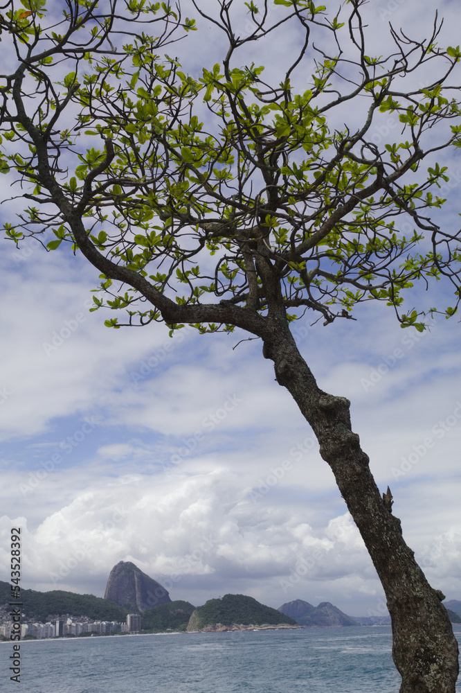 Copacabana Beach with Sugarloaf Mountain in the city of Rio de Janeiro in Brazil