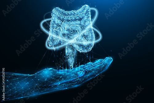 Intestinal recovery. Polygonal vector illustration of a hand with a human intestine. Bowel transplant donor. Medical banner, template or background.