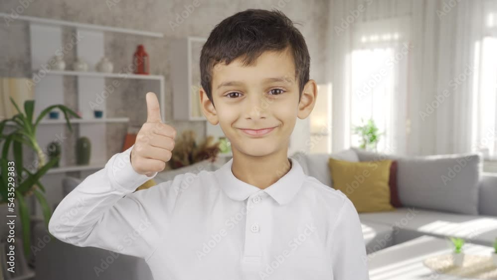 Boy doing check mark looking at camera.
Delighted boy looks at camera and makes a check mark.
Boy doing check mark looking at camera.
Delighted boy looks at camera and makes a check mark.
