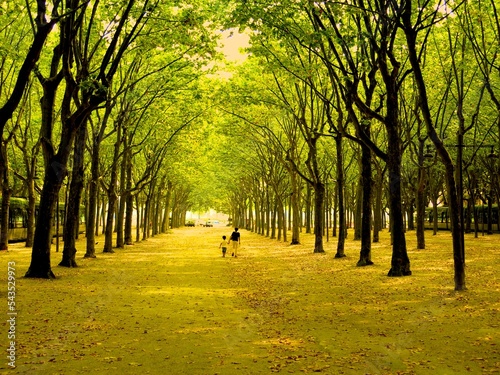 Women walking with child.Fall is here...End of the day with very soft colour touching my soul