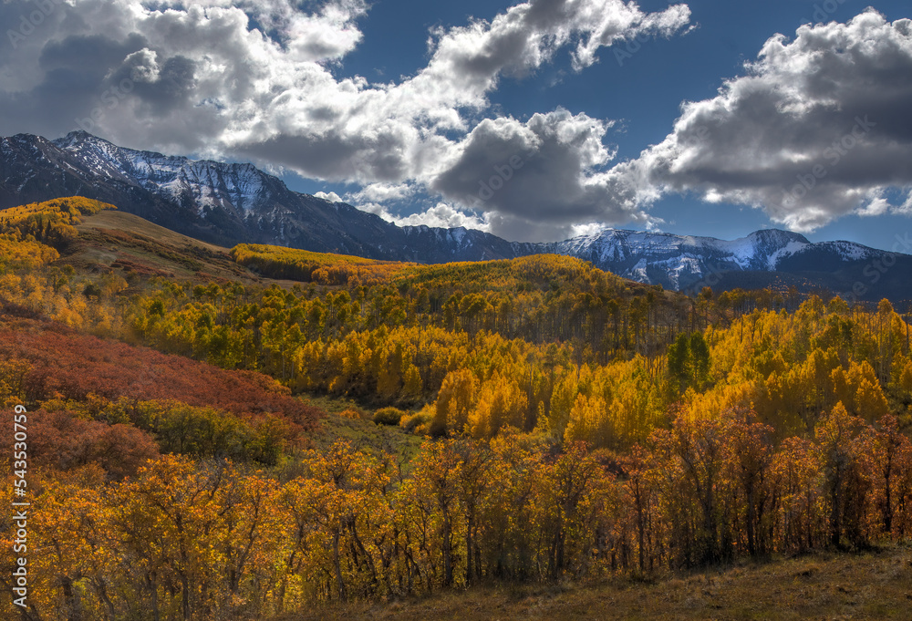 Colorado San Juans Autumn